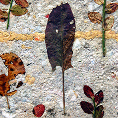 Живопись. Дедшев. Paintings& Dedushev.